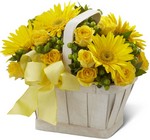 Uplifting Moments Bouquet In Waterford Michigan Jacobsen's Flowers